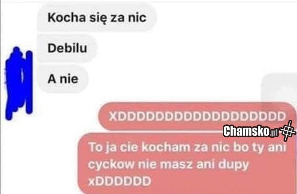Kocha się za nic