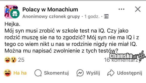 Test IQ