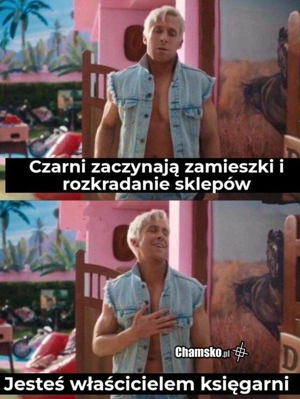 Rozkradanie sklepów