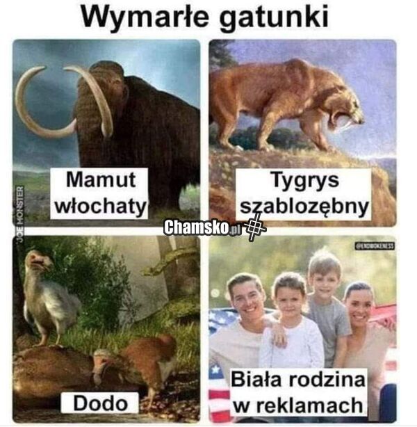 Wymarłe gatunki