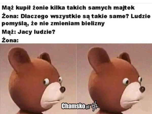 0_1_126670_Zakup_majtek_dla_zony_przez_pluszowymis.jpg