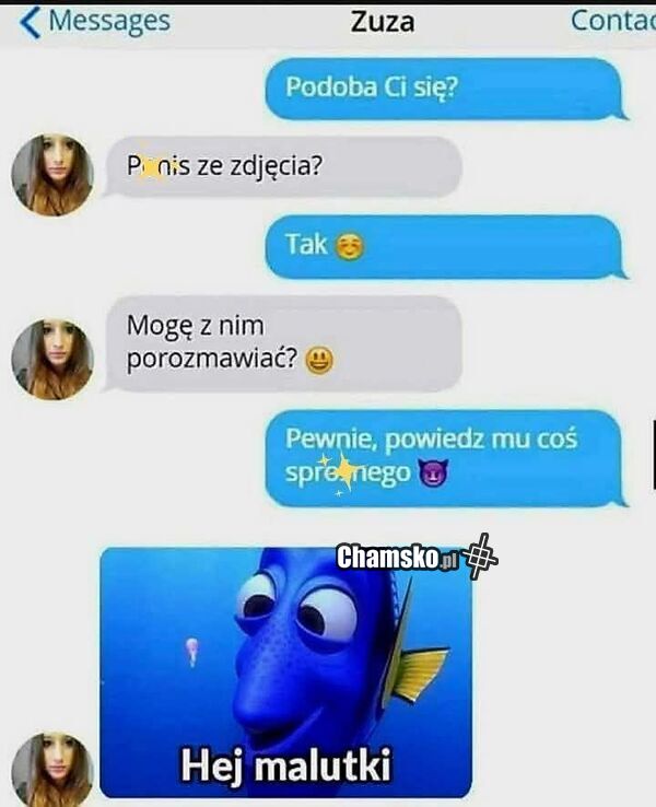 Zdjęcie pindola