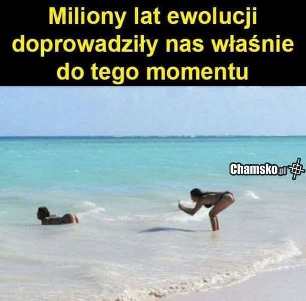 Miliony lat ewolucji...