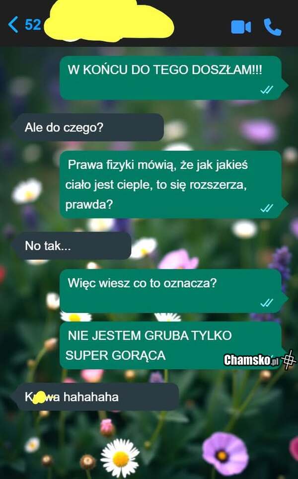 Pomysły grubej