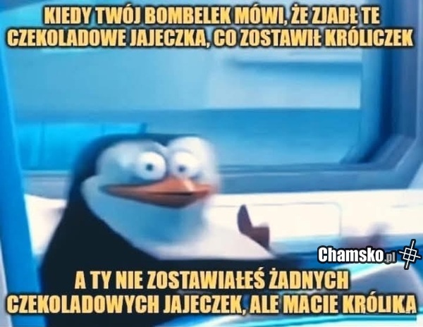 Czekoladowe jajeczka