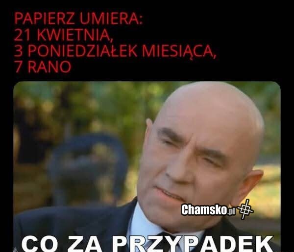 Przypadek?