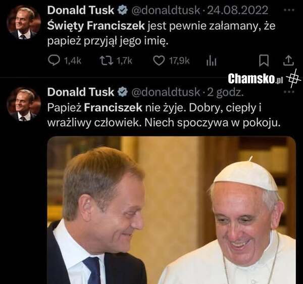 Załgana menda