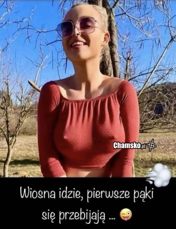 Idzie wiosna