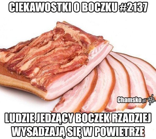 Ciekawostka