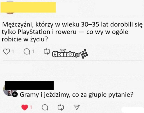 Co Wy robicie w życiu?