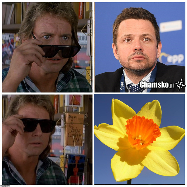 Rafcio