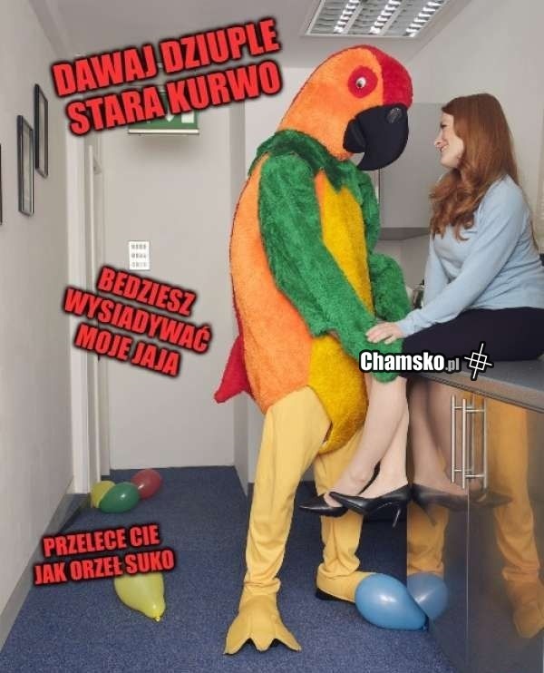 Dawaj dziuple
