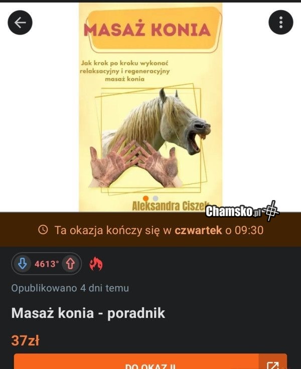 Masaż konia