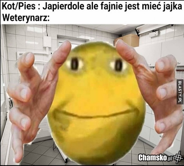 Hehe