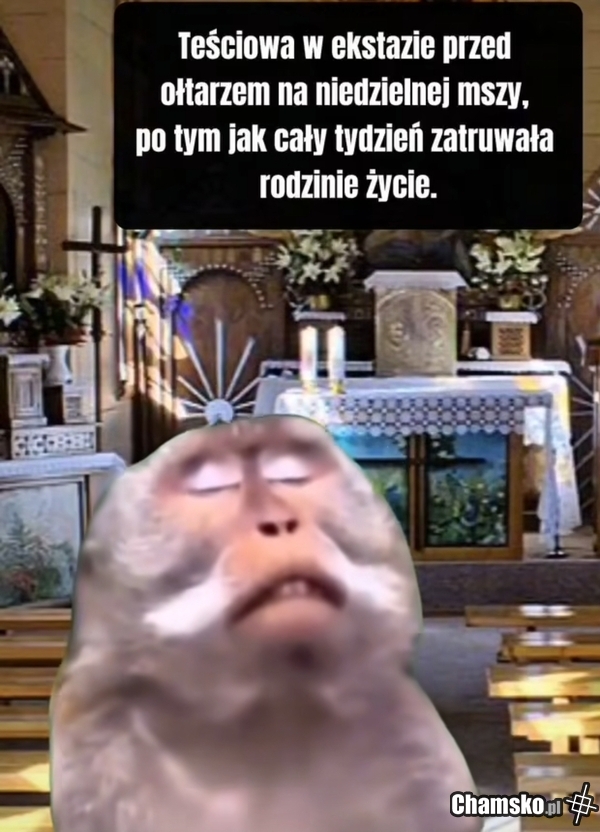 Tesciowa