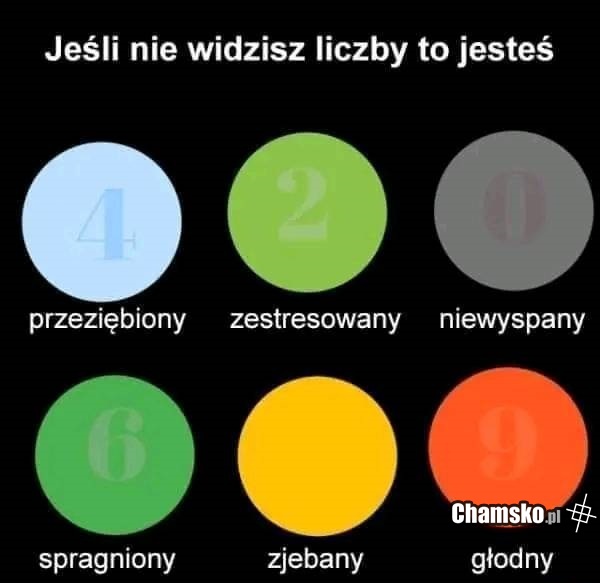 Widzisz wszystkie liczby?