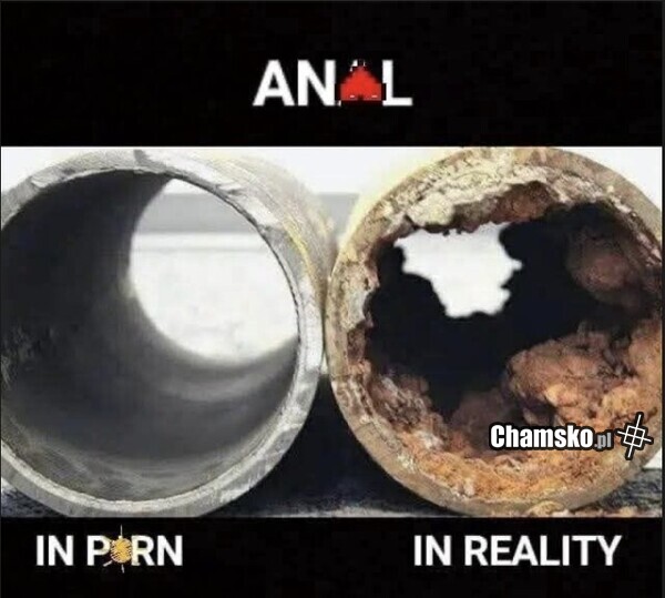 Anal