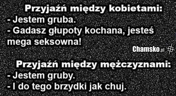 Przyjaźń
