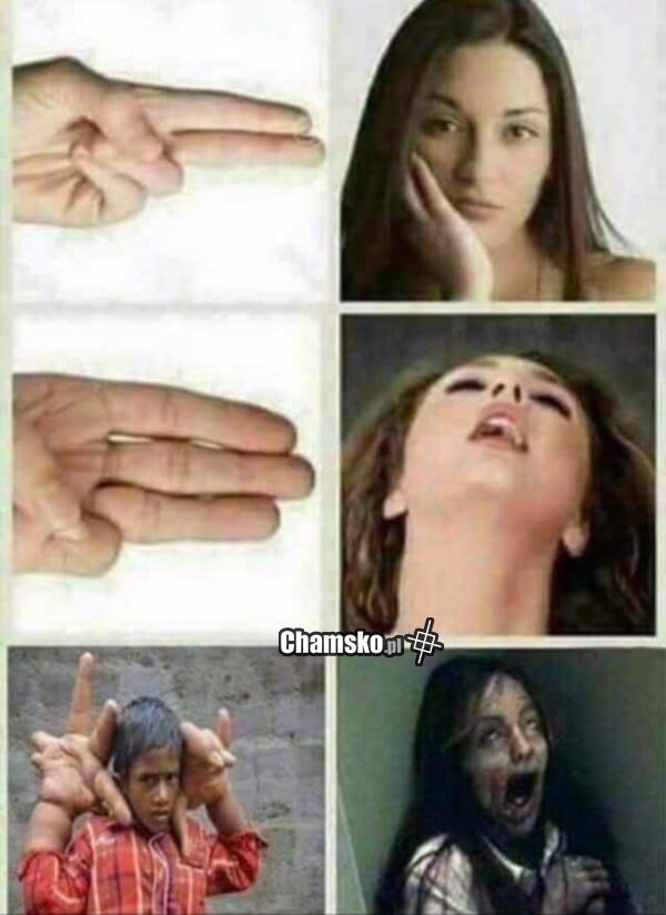 Palce