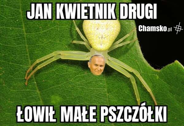 Jan kwietnik drugi