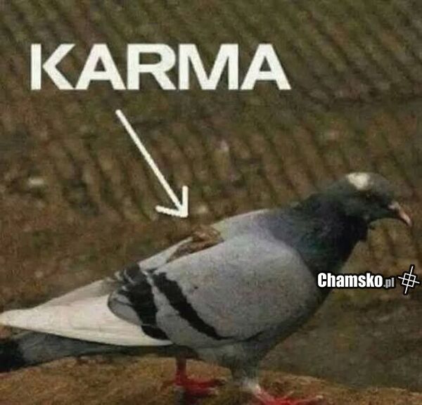 Karma