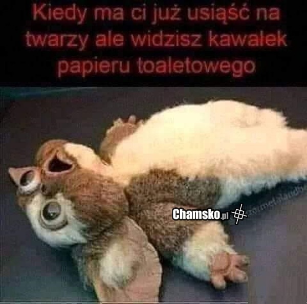 Siadanie na twarzy