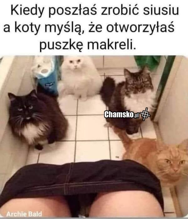 Zapach ryby