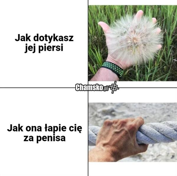 Dotykanie