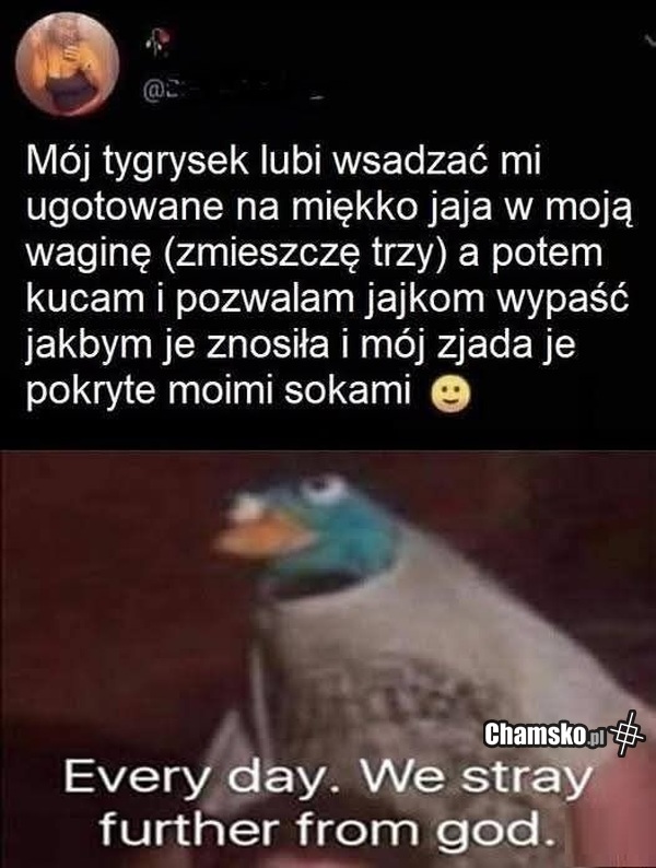 Jajka