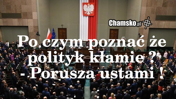 Polityka
