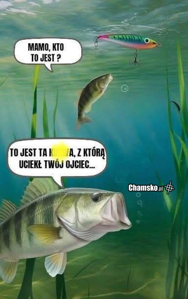 Kto to jest?