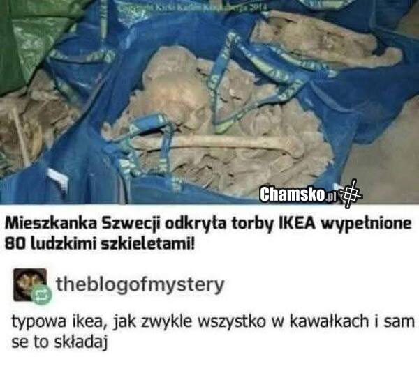 Kości