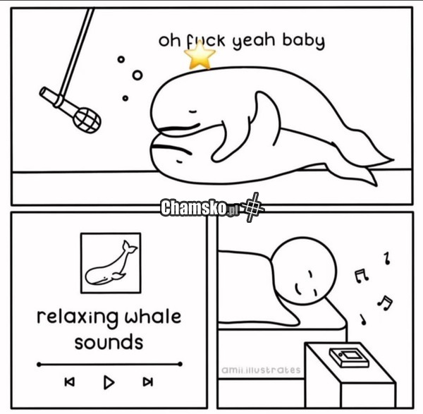 Relaksujące dźwięki