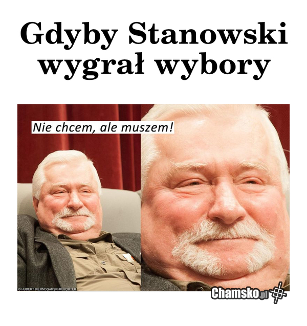 wybory