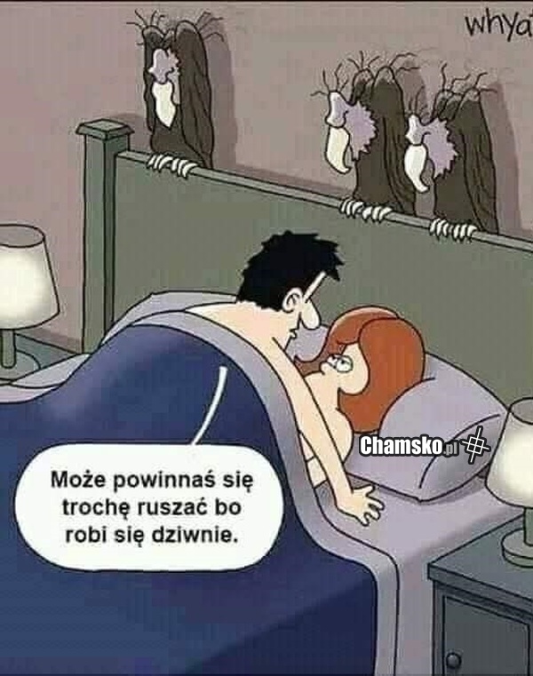 Kłoda
