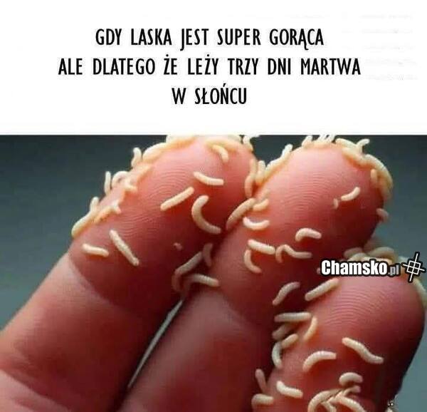 Gorąca laska