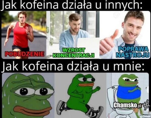Kofeina