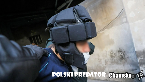 Predator