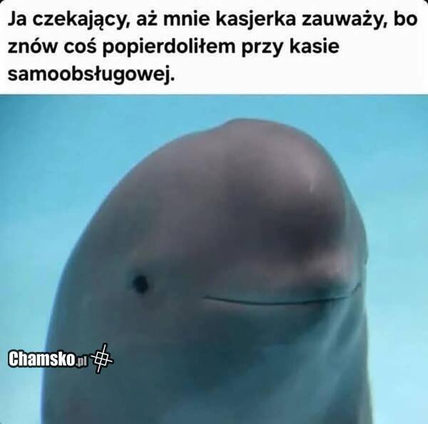 Kasy samoobsługowe