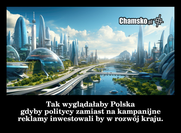 wybory