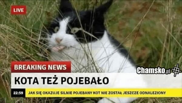 Kitku
