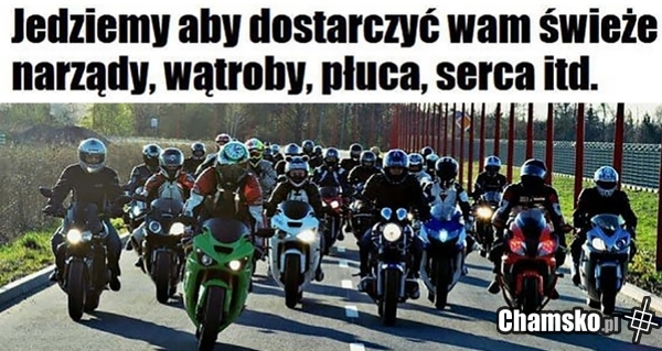 Dawcy