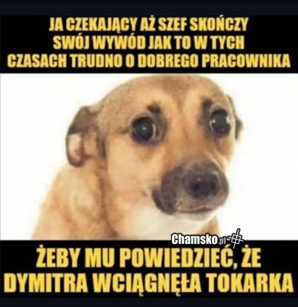 Dobry pracownik