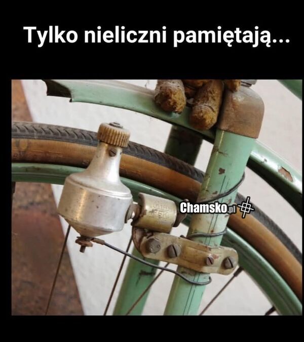 Dynamo