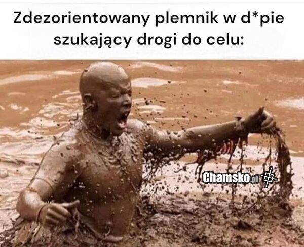 W dupie
