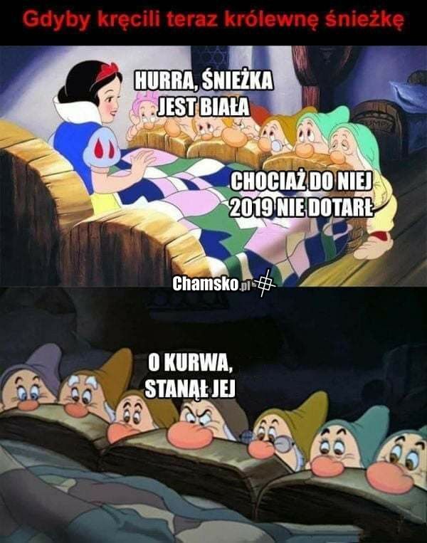 Nowoczesna Śnieżka