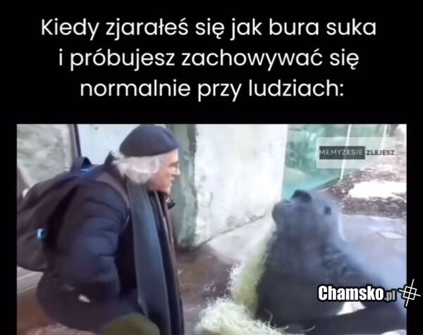 Zjaranie
