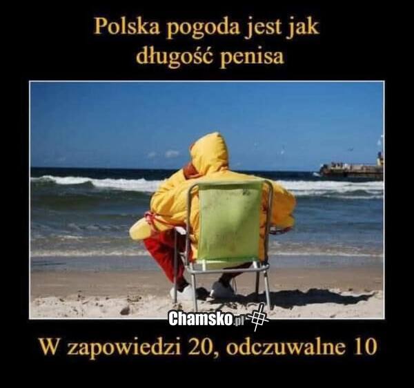 Pogoda
