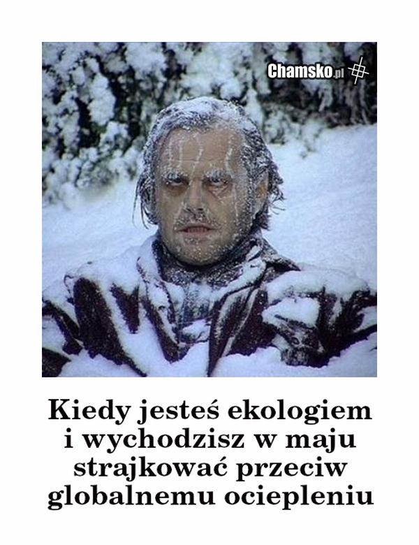 Ekoświry