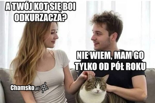 Kot się boi odkurzacza?